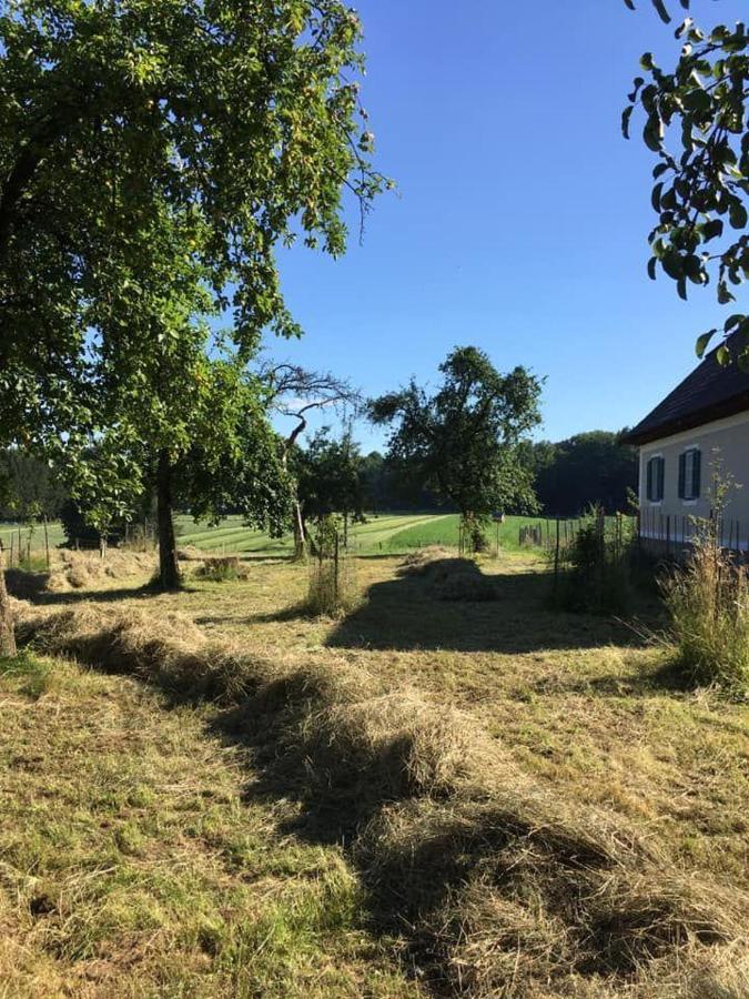 Kellerstoeckl-Am-Veganen-Bio-Lebenshof-Nur-Fuer-Hundefreunde-Empfohlen Villa Sulb Exterior foto