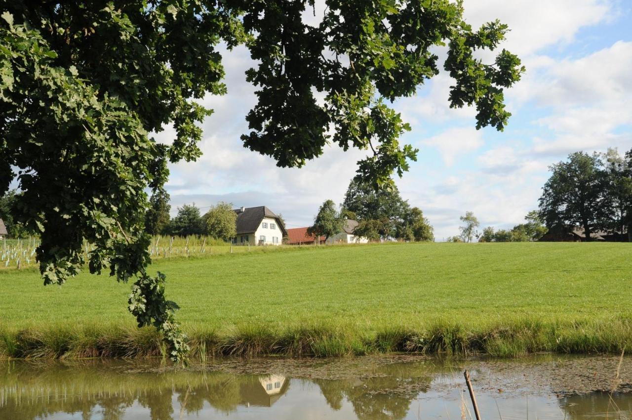 Kellerstoeckl-Am-Veganen-Bio-Lebenshof-Nur-Fuer-Hundefreunde-Empfohlen Villa Sulb Exterior foto