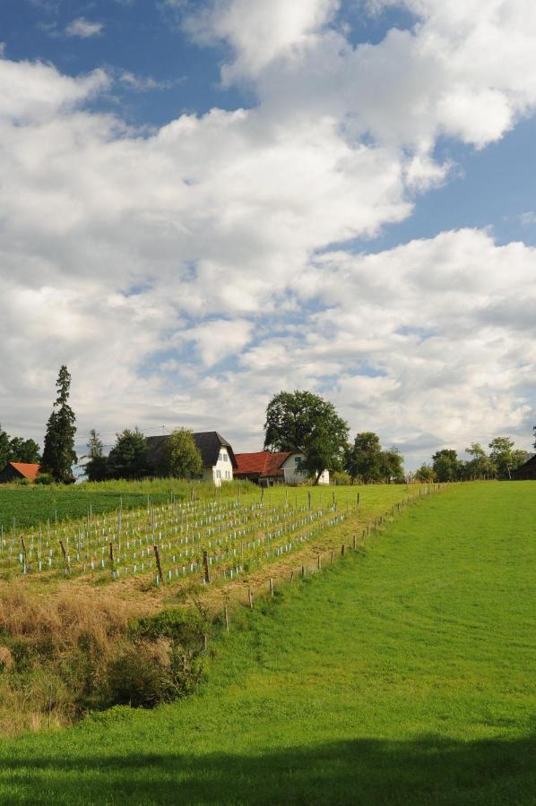 Kellerstoeckl-Am-Veganen-Bio-Lebenshof-Nur-Fuer-Hundefreunde-Empfohlen Villa Sulb Exterior foto