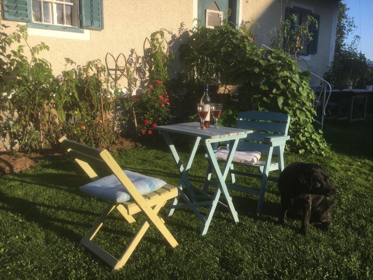 Kellerstoeckl-Am-Veganen-Bio-Lebenshof-Nur-Fuer-Hundefreunde-Empfohlen Villa Sulb Exterior foto