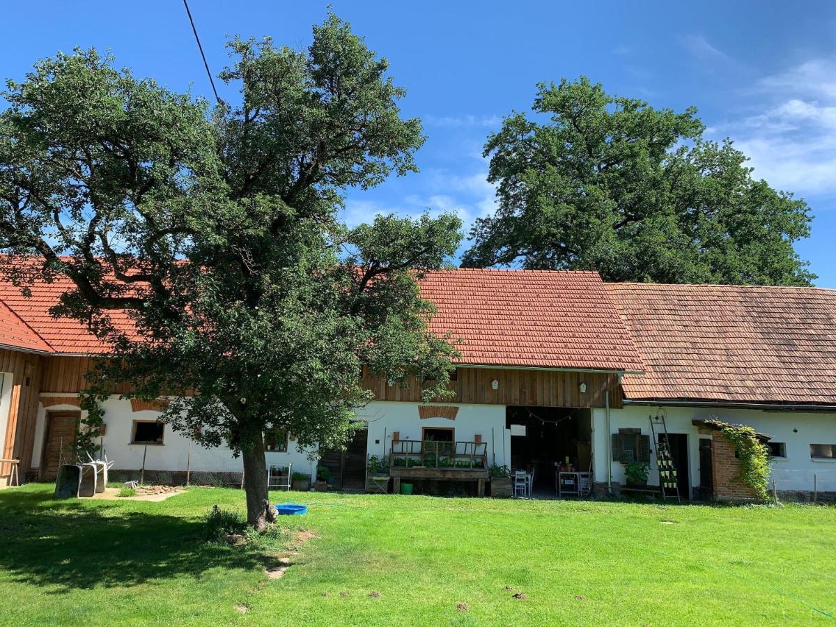 Kellerstoeckl-Am-Veganen-Bio-Lebenshof-Nur-Fuer-Hundefreunde-Empfohlen Villa Sulb Exterior foto