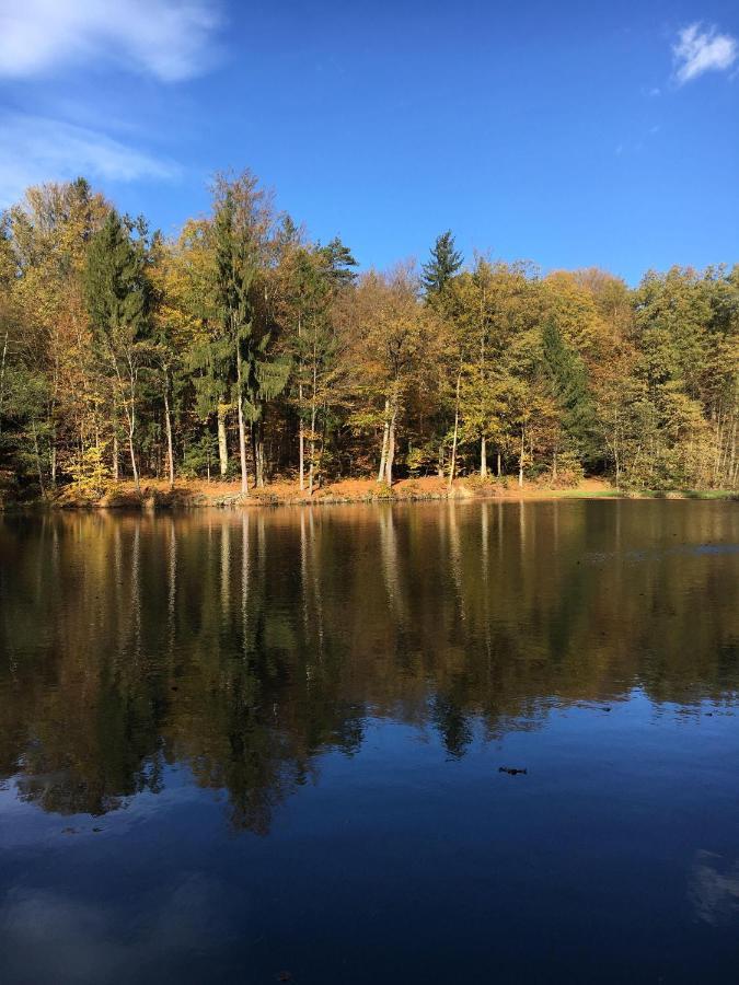 Kellerstoeckl-Am-Veganen-Bio-Lebenshof-Nur-Fuer-Hundefreunde-Empfohlen Villa Sulb Exterior foto