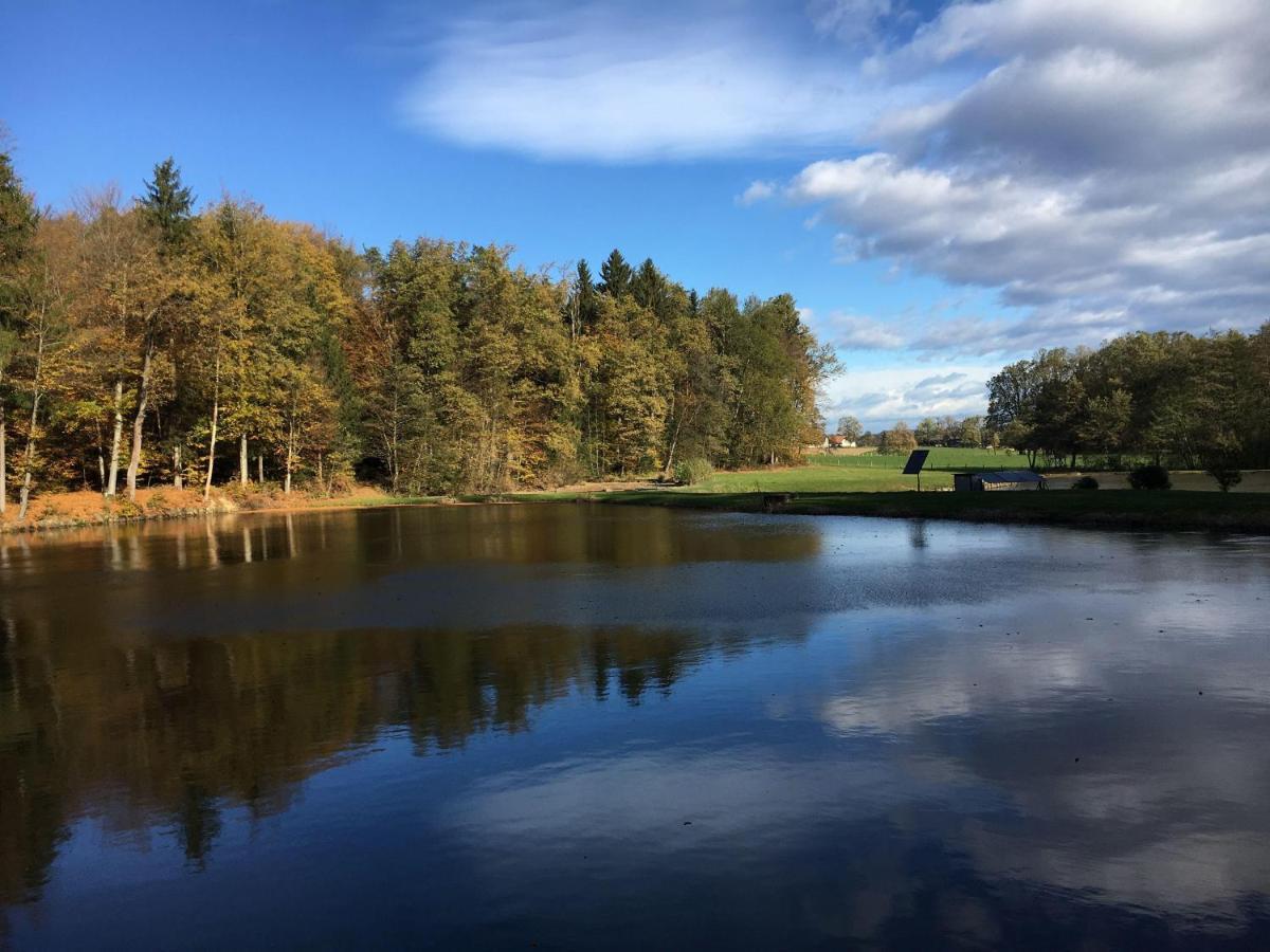 Kellerstoeckl-Am-Veganen-Bio-Lebenshof-Nur-Fuer-Hundefreunde-Empfohlen Villa Sulb Exterior foto